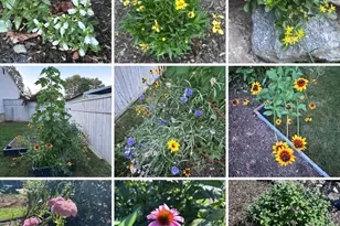 194 Browning Rd, Norwich, CT 06360 - Photo 37