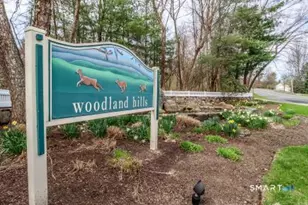 61 Woodcrest Ln, Danbury, CT 06810 - Photo 29