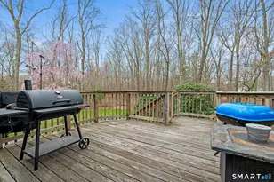 62 Newell Hill Rd, Ellington, CT 06029 - Photo 35