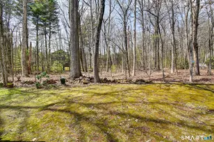 32 Farmington Chase Crescent, Farmington, CT 06032 - Photo 39