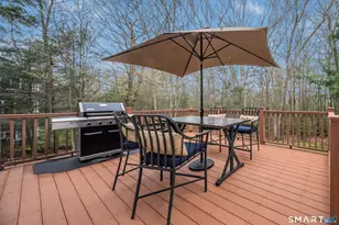 4 Collins View Rd, Canton, CT 06019 - Photo 11