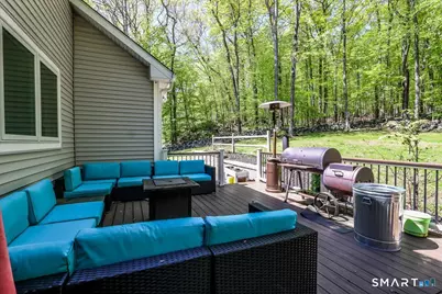 44 Aunt Pattys Lane West, Bethel, CT 06801 - Photo 23