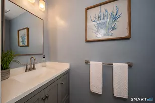 59 Danforth Ln, West Hartford, CT 06110 - Photo 13