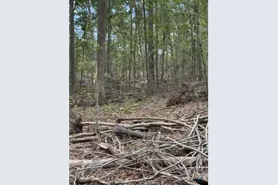 0 Cold Spring Road, East Haddam, CT 06423 - Photo 21