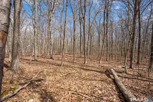 0 Cold Spring Rd, East Haddam, CT 06423 - Photo 5
