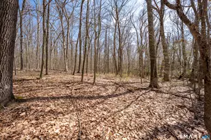 0 Cold Spring Rd, East Haddam, CT 06423 - Photo 11