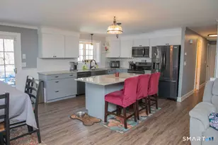 27 Old Skinner St, East Hampton, CT 06424 - Photo 11