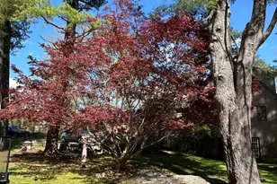 437 Providence Turnpike, Hampton, CT 06247 - Photo 39