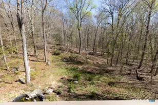 7 Mitchel Terrace, Essex, CT 06442 - Photo 27