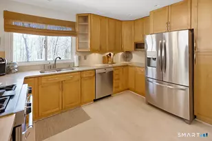 7 Mitchel Terrace, Essex, CT 06442 - Photo 11