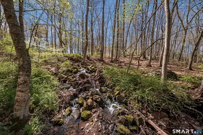 7 Shirecrest, Avon, CT 06001 - Photo 33