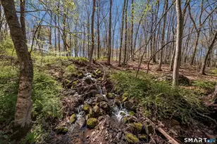 7 Shirecrest, Avon, CT 06001 - Photo 33