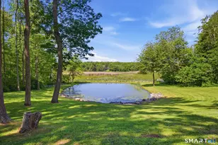 102 Drown Rd, Pomfret, CT 06259 - Photo 31