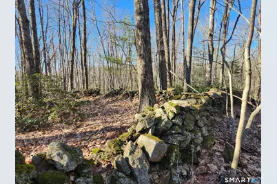 293 New City Road, Stafford, CT 06076 - Photo 33