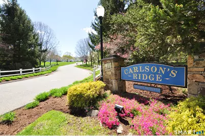 14 Carlson Ridge Court #14, New Milford, CT 06776 - Photo 39