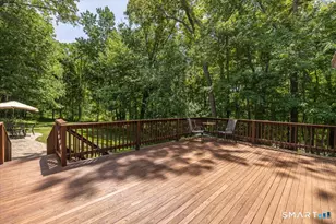 7 Pinnacle Dr, Newtown, CT 06470 - Photo 31