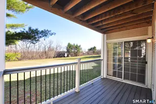 207 Country Club Ct, Rocky Hill, CT 06067 - Photo 29