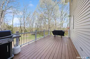 16 Stephen Ct, Prospect, CT 06712 - Photo 33