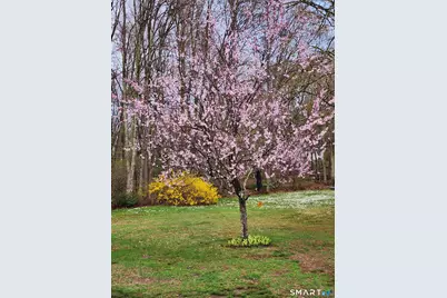 312 Gehring Road, Tolland, CT 06084 - Photo 5