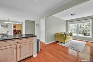 45 Pocono Ln, Danbury, CT 06810 - Photo 17