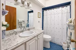 10 Horseshoe Dr, Danbury, CT 06811 - Photo 25
