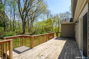 19 Crabapple Ln, Newtown, CT 06470 - Photo 33