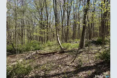 163 Clapboard Ridge Road, Danbury, CT 06811 - Photo 7
