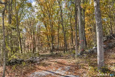 00 Tinker Lane, Lyme, CT 06371 - Photo 7