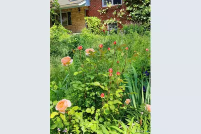 34 Davenport Drive, Stamford, CT 06902 - Photo 35