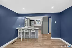 53 Kalish Ave, Enfield, CT 06082 - Photo 9