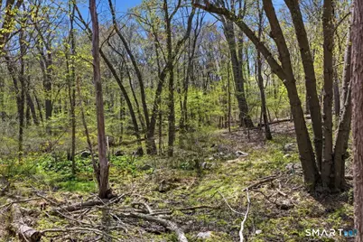 76 Dayton Road, Waterford, CT 06385 - Photo 7
