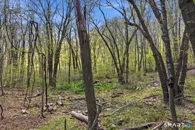 76 Dayton Road, Waterford, CT 06385 - Photo 5