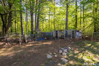93 Eno Hill Road, Colebrook, CT 06021 - Photo 35