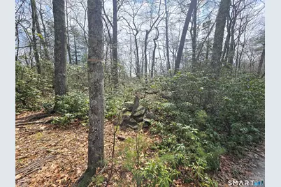 Pleasure Hill Road, Franklin, CT 06254 - Photo 13