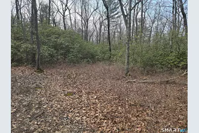 Pleasure Hill Road, Franklin, CT 06254 - Photo 5