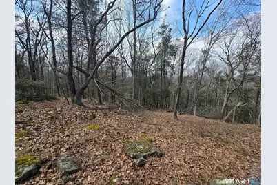 Pleasure Hill Road, Franklin, CT 06254 - Photo 21