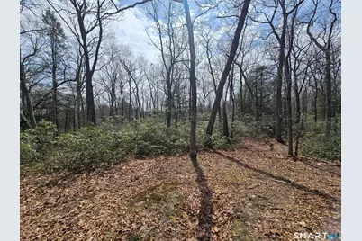 Pleasure Hill Road, Franklin, CT 06254 - Photo 7
