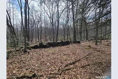 Pleasure Hill Road, Franklin, CT 06254 - Photo 19