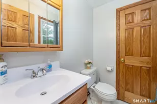 58 Marlene St, Bristol, CT 06010 - Photo 21