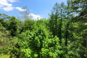 5 Essex Ct, Brookfield, CT 06804 - Photo 15
