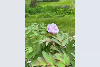 15 Old Mailcoach Road, Redding, CT 06896 - Photo 29