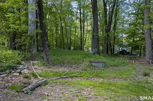 24 Barry Rd, Coventry, CT 06238 - Photo 23