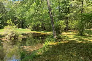 46 Mashapaug Rd, Union, CT 06076 - Photo 7