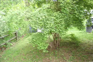 68 Woodland Park, Shelton, CT 06484 - Photo 23