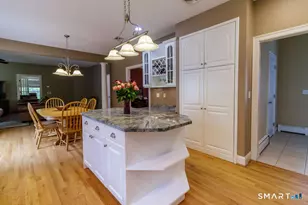 19 Cider Mill Rd, Burlington, CT 06013 - Photo 9