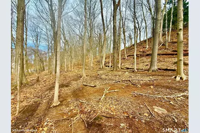 71 Dunbar Hill Road, Hamden, CT 06514 - Photo 15