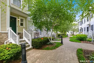 39 Maple Tree Ave, Stamford, CT 06906 - Photo 31