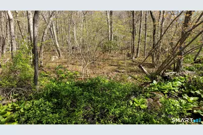98 Braman Road, Waterford, CT 06385 - Photo 13