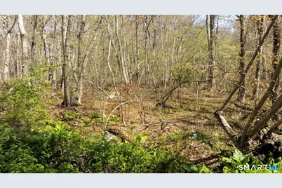 98 Braman Road, Waterford, CT 06385 - Photo 15