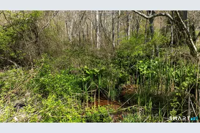 98 Braman Road, Waterford, CT 06385 - Photo 13